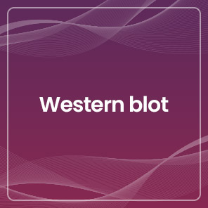 Western blot